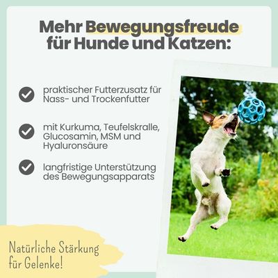 Gelenkmix Sensitiv & vegan für Hunde und Katzen mit Teufelskralle, Kurkuma