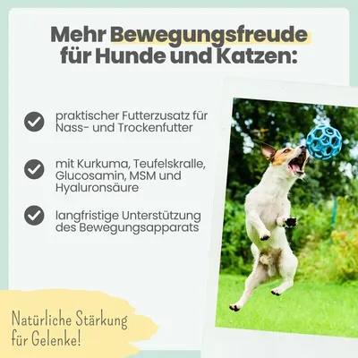 Gelenkmix Sensitiv & vegan für Hunde und Katzen mit Teufelskralle, Kurkuma