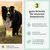 Gelenkmix Sensitiv & vegan für Hunde und Katzen mit Teufelskralle, Kurkuma