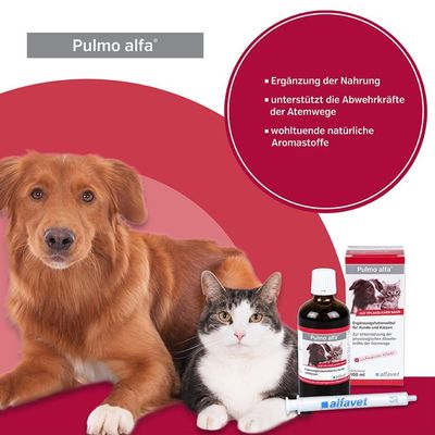 Alfavet Pulmo alfa