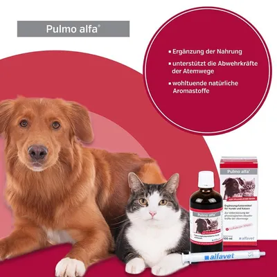 Alfavet Pulmo alfa