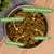 Lecker.Pet® Luna's Adult autruche avec pomme de terre & pomme pour chiens Lecker.Pet® Luna's Adult autruche avec pomme de terre & pomme pour chiens