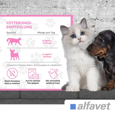 Alfavet FeliGum Gingiva Alfavet FeliGum Gingiva