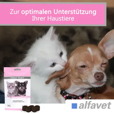 Alfavet FeliGum Gingiva Alfavet FeliGum Gingiva