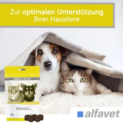 Alfavet FeliGum Struvit