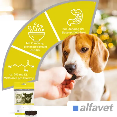 Alfavet FeliGum Struvit