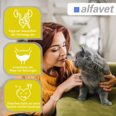 Alfavet FeliGum Struvit