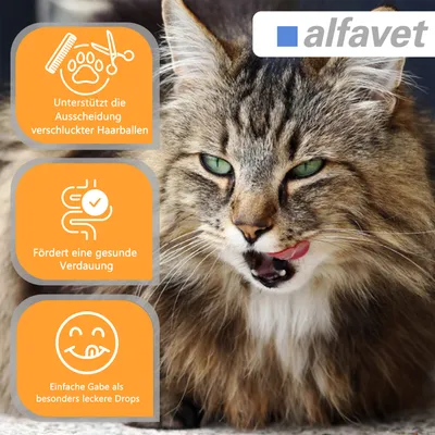 Alfavet FeliGum Hairball Alfavet FeliGum Hairball