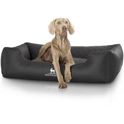 Knuffelwuff Panier orthopédique pour chien Madison