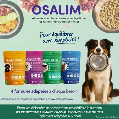 OSALIA - Osalim digest+ Chien - Laboratoire Osalia OSALIA - Osalim digest+ Chien - Laboratoire Osalia