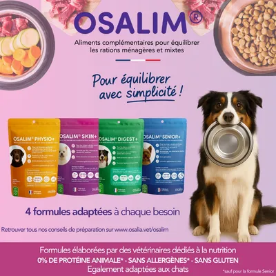OSALIA - OSALIM Skin+ Chien - Laboratoire Osalia OSALIA - OSALIM Skin+ Chien - Laboratoire Osalia
