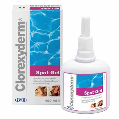 LDCA - CLOREXYDERM SPOT GEL - LDCA LDCA - CLOREXYDERM SPOT GEL - LDCA
