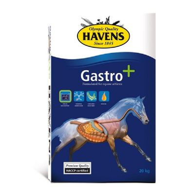 Havens Gastro+