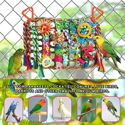 Seegras-Spielzeugwand mit verschiedenen Vogelspielzeugen