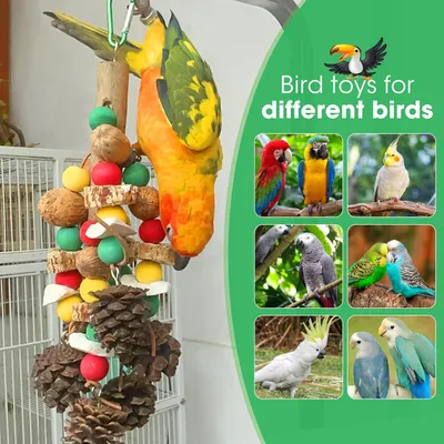 Nahrungsspielzeug aus Naturholz für den Papageienkäfig