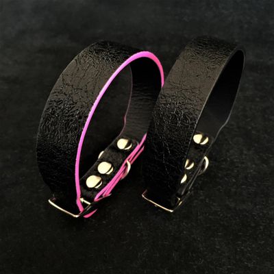 Le collier de chiot Taureau