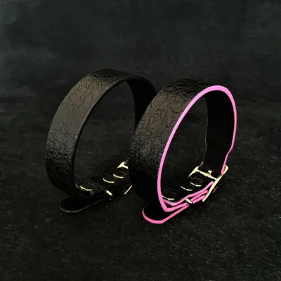 Le collier de chiot Taureau