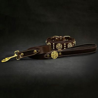 Maximus braun Halsband