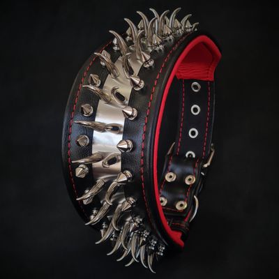 Halsband Predator oder SET – Schwarz/Rot