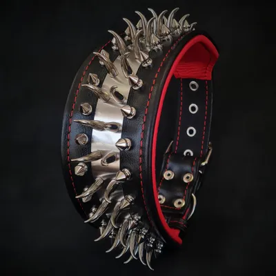 Halsband Predator oder SET – Schwarz/Rot Halsband Predator oder SET – Schwarz/Rot