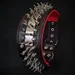 Halsband Predator oder SET – Schwarz/Rot