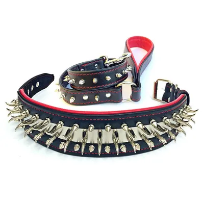 Halsband Predator oder SET – Schwarz/Rot