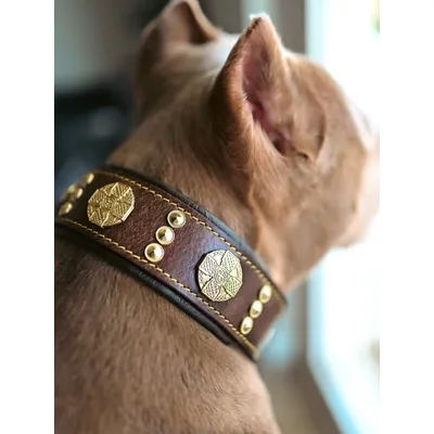 Maximus braun Halsband