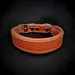 Clean Puppy collar