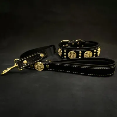 Maximus Echtleder Halsband Schwartz