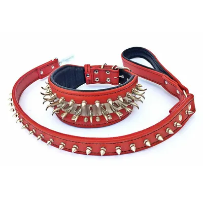 Halsband Predator oder SET – Schwarz/Rot