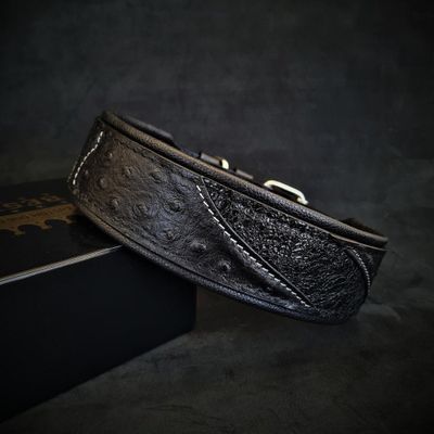 Le collier Korona BLACK EDITION
