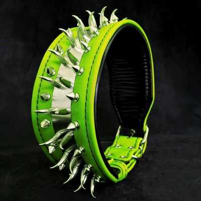 Das Predator Halsband in Grün
