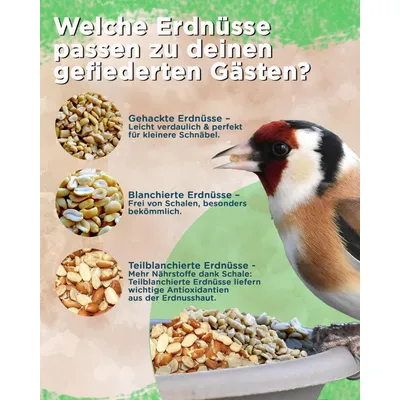 Futterbauer 10 kg Erdnusskerne Erdnüsse  weiß blanchiert ohne Haut