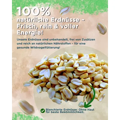 Futterbauer 10 kg Erdnusskerne Erdnüsse  weiß blanchiert ohne Haut
