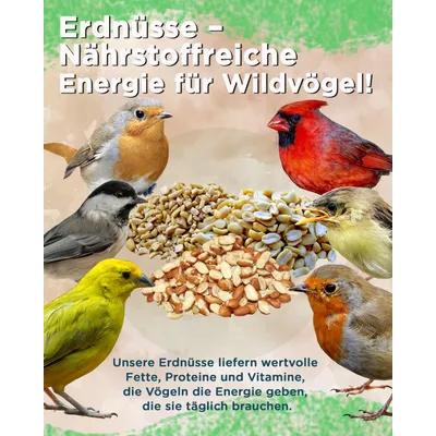 Futterbauer 10 kg Erdnusskerne Erdnüsse  weiß blanchiert ohne Haut