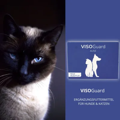 ReboTabs VISOGuard ReboTabs VISOGuard
