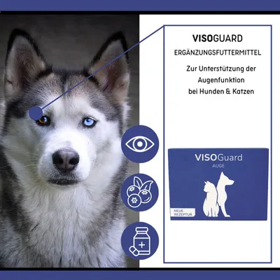 ReboTabs VISOGuard ReboTabs VISOGuard