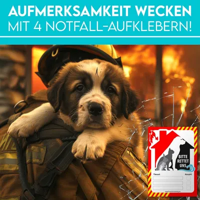 HUND IST KÖNIG Feuerwehr-Aufkleber Haustier Rettung, 4er Set + Folienstift HUND IST KÖNIG Feuerwehr-Aufkleber Haustier Rettung, 4er Set + Folienstift