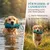 HUND IST KÖNIG Futterdummy für Hunde, Apportierbeutel Dummy Hundetraining
