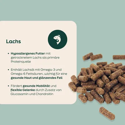 WOOOF Lachs - Kaltgepresstes Trockenfutter - Lachs