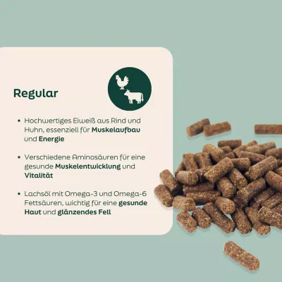 WOOOF Probierpaket - Kaltgepresstes Trockenfutter - Regular Probierpaket WOOOF Probierpaket - Kaltgepresstes Trockenfutter - Regular Probierpaket
