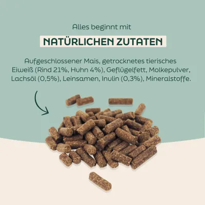 WOOOF Probierpaket - Kaltgepresstes Trockenfutter - Regular Probierpaket WOOOF Probierpaket - Kaltgepresstes Trockenfutter - Regular Probierpaket