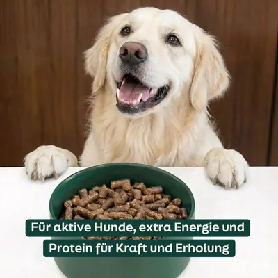 WOOOF High Energy - Kaltgepresstes Trockenfutter - Rind, Huhn