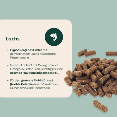WOOOF Lachs - Kaltgepresstes Trockenfutter - Lachs