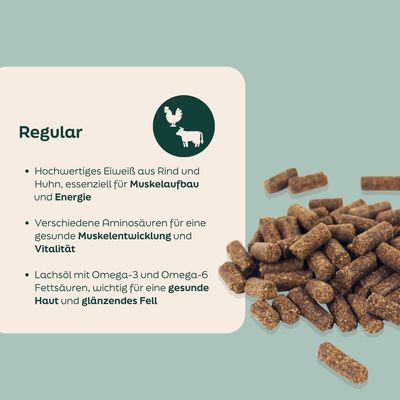 WOOOF Regular - Kaltgepresstes Trockenfutter - Rind, Huhn
