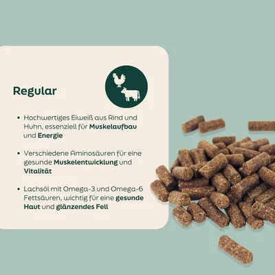 WOOOF Regular - Kaltgepresstes Trockenfutter - Rind, Huhn