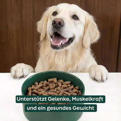 WOOOF Senior - Kaltgepresstes Trockenfutter - Pute, Fisch