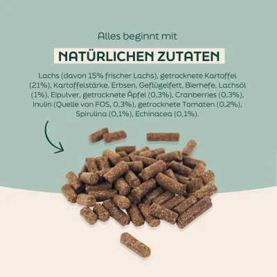 WOOOF Lachs und Kartoffel - Kaltgepresstes Trockenfutter - Lachs, Kartoffel WOOOF Lachs und Kartoffel - Kaltgepresstes Trockenfutter - Lachs, Kartoffel
