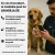 Animoco - Médaille Connectée QR Code Premium