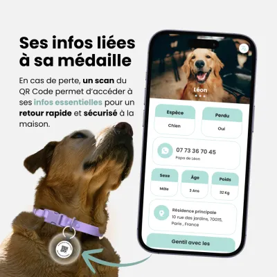 Animoco - Médaille Connectée QR Code Premium